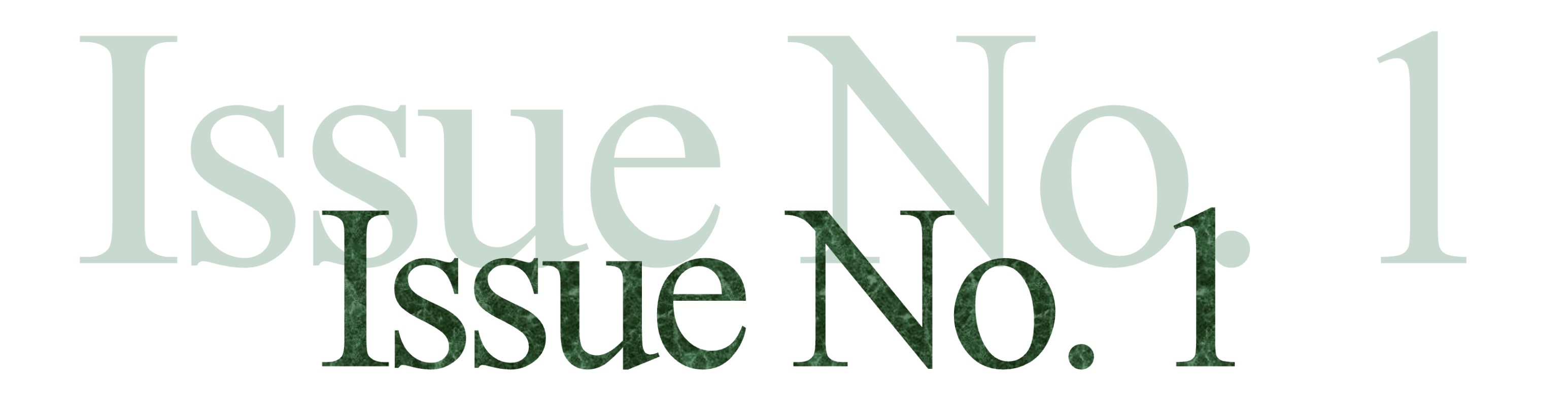 NYCity News Service logo